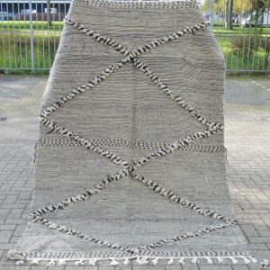 Zanafi 240 x 158 4