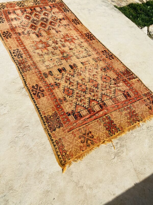 Vintage Taznakht Rug 290 x 128