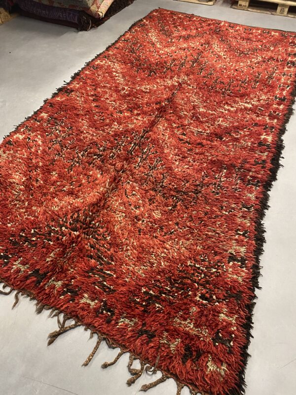 Beni Mguild Rug 357 x 180