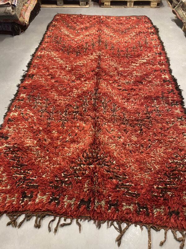 Beni Mguild Rug 357 x 180