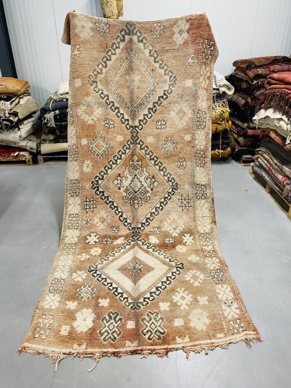 Boujaad Runner 312 x 147