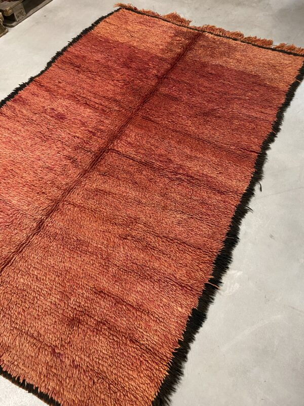 Beni Mguild 263 x 170