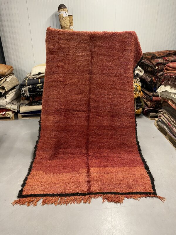 Beni Mguild 263 x 170