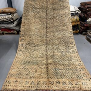 Beni Mguild Rug 327 x 196