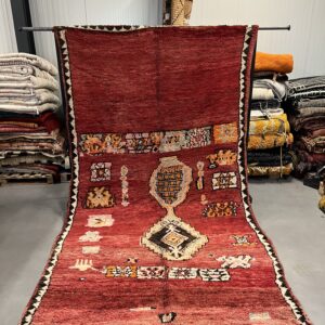 Rhamna Rug 323 x 175