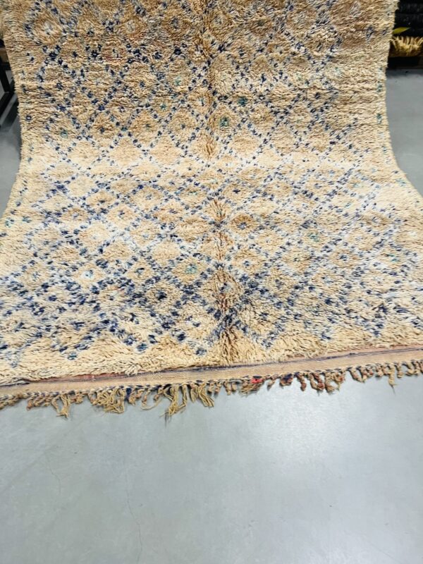 Beni Mguild Rug 300 x 167