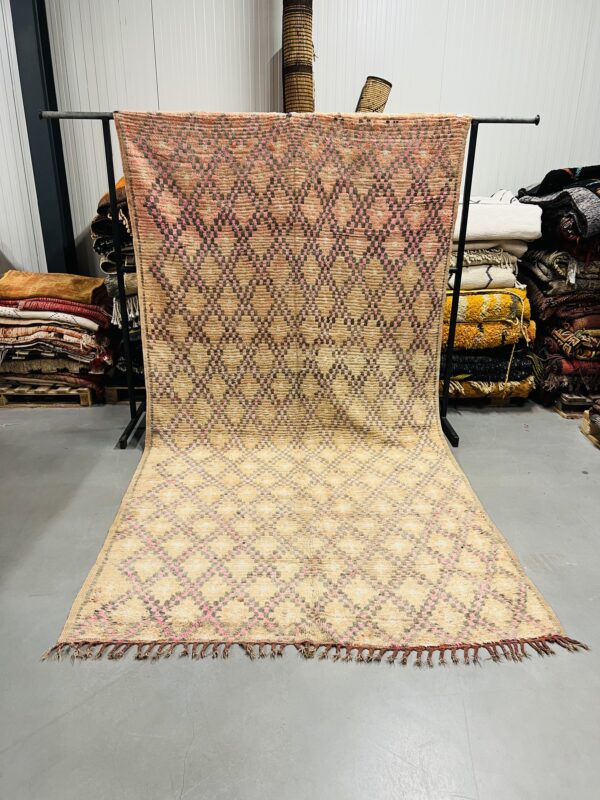 Boujaad Rug 326 x 167