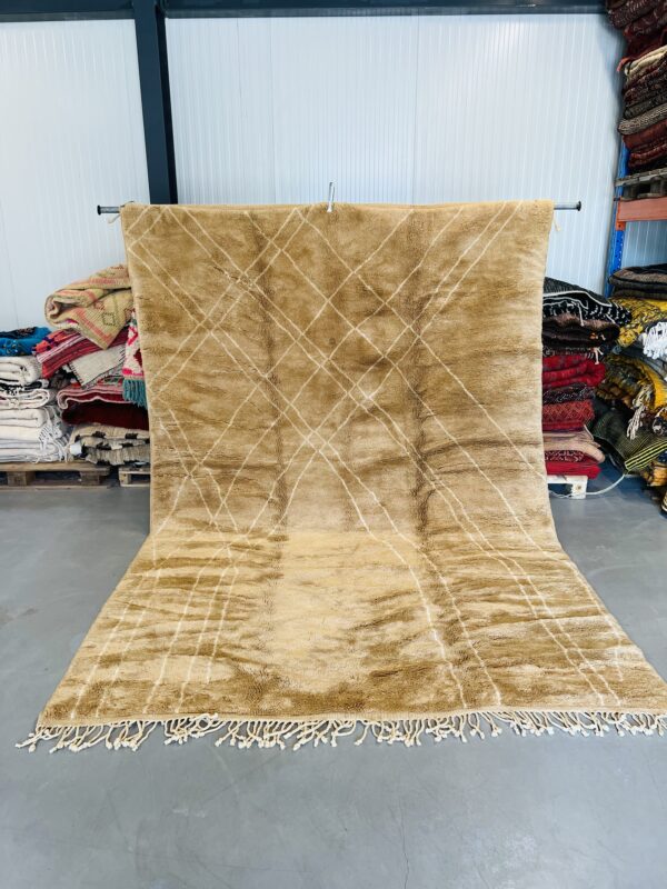 Beni Mrirt Rug 330 x 219