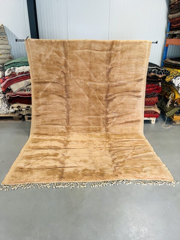 Beni Mrirt Rug Customized 34