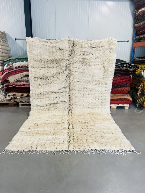 Beni Mrirt Rug 312 x 223