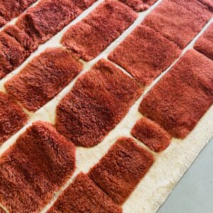 Beni Mrirt Rug 10 Customized Rug