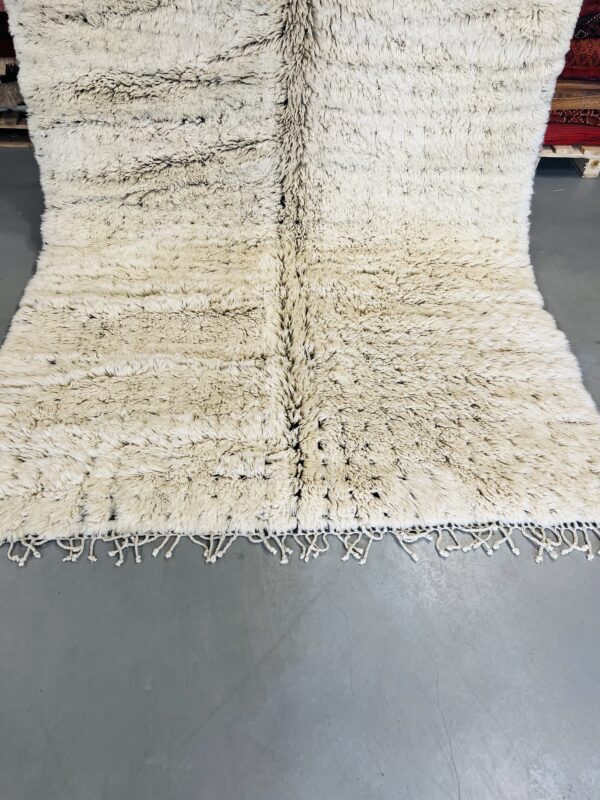 Beni Mrirt Rug 312 x 223