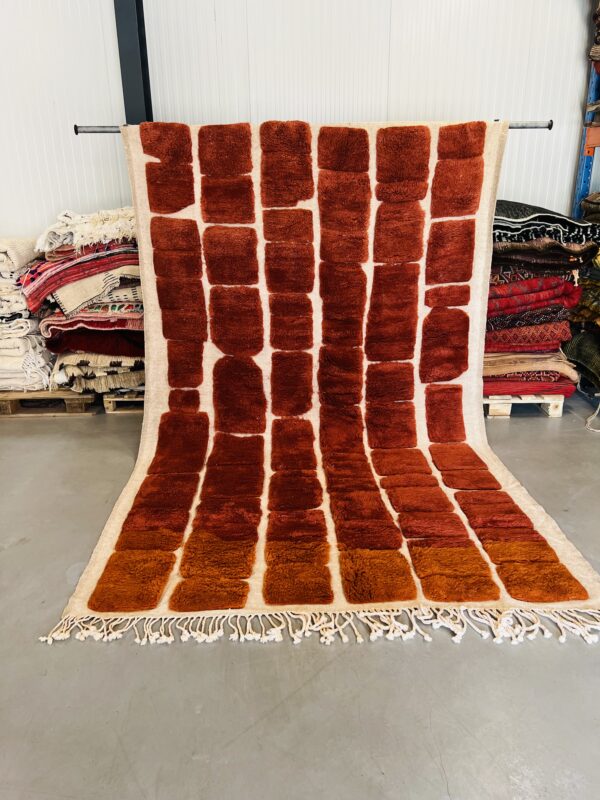 Beni Mrirt Rug 10 Customized Rug