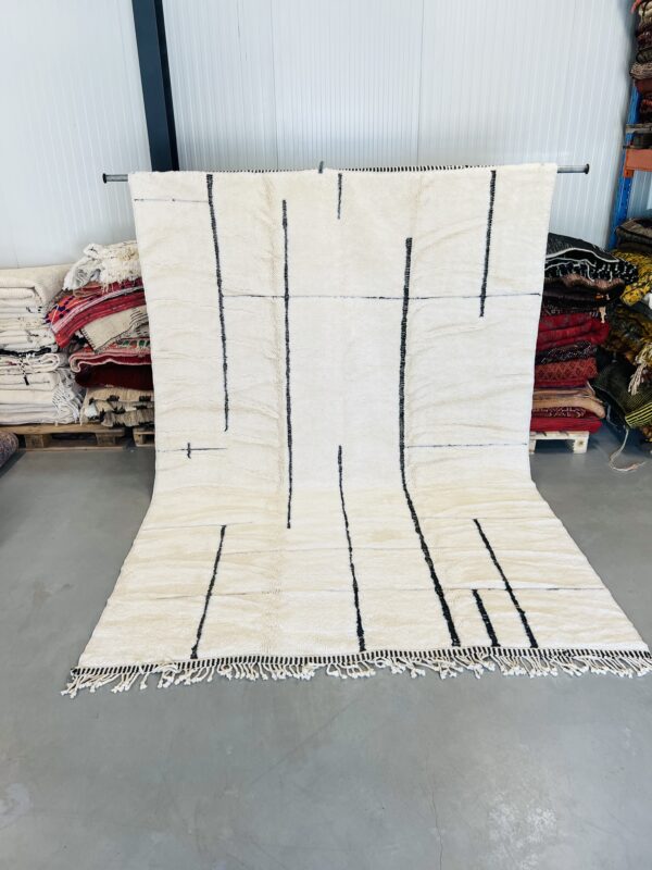 Beni Mrirt Rug 315 x 220