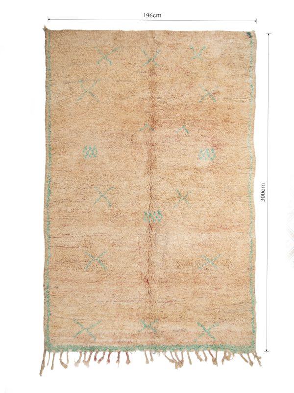 Beni Mguild Rug 300 x 196