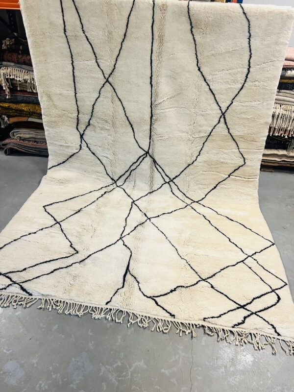 Beni Mrirt Rug 320 x 230