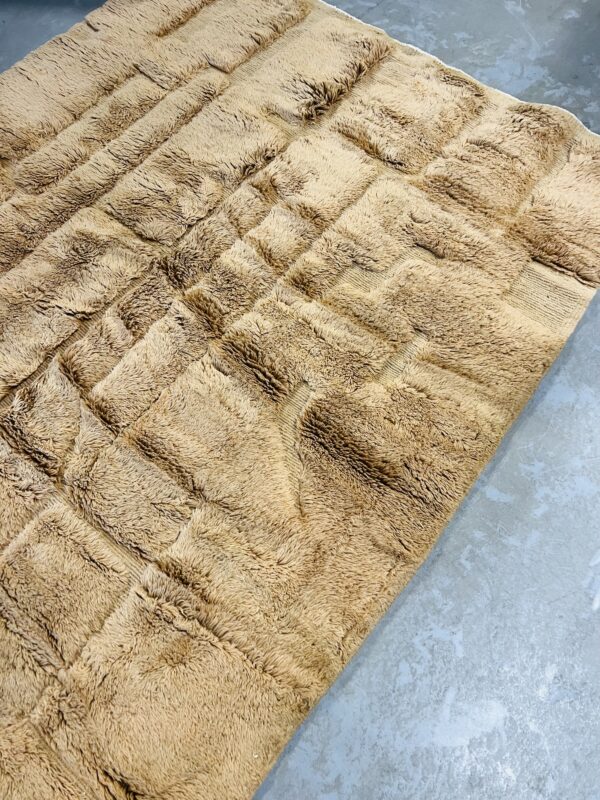 Beni Mrirt Rug Desert 290 x 168 – Image 3