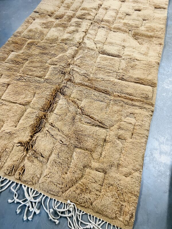 Beni Mrirt Rug Desert 290 x 168 – Image 5