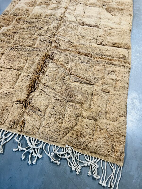 Beni Mrirt Rug Desert 290 x 168 – Image 6