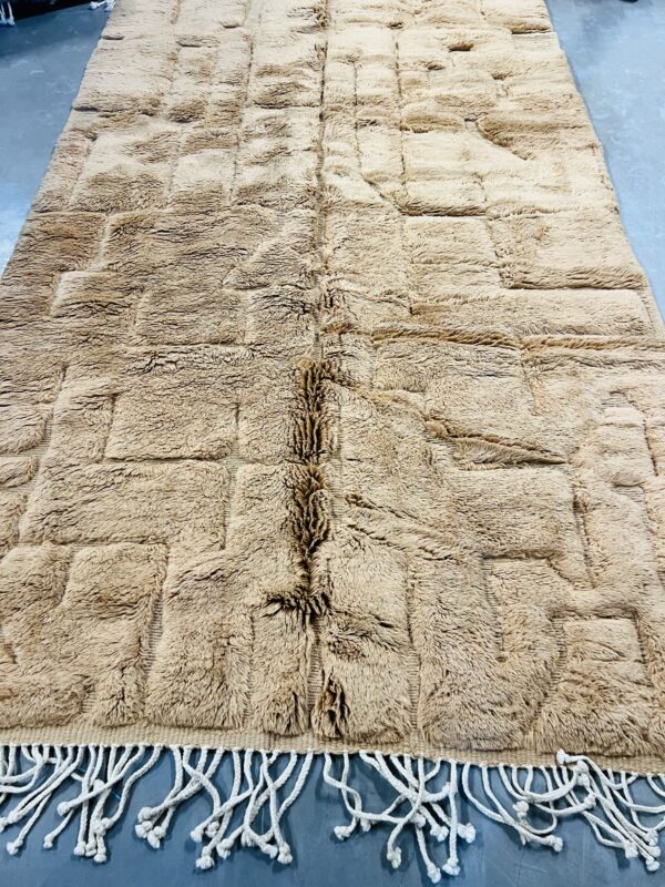 Beni Mrirt Rug Desert 290 x 168 – Image 7