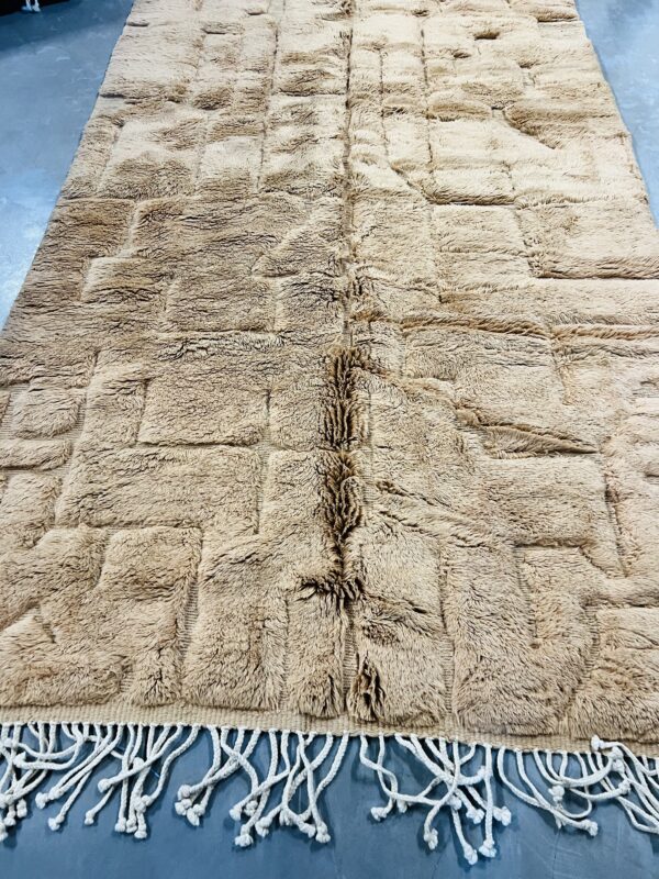 Beni Mrirt Rug Desert 290 x 168 – Image 8