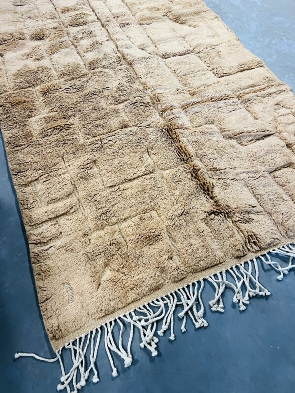 Beni Mrirt Rug Desert 290 x 168 – Image 9