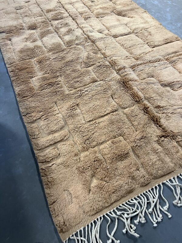 Beni Mrirt Rug Desert 290 x 168 – Image 10
