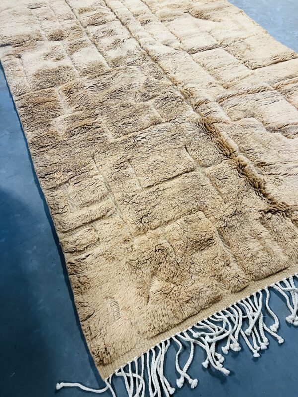 Beni Mrirt Rug Desert 290 x 168 – Image 11