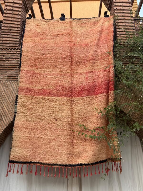 Beni Mguild Rug 327 x 217