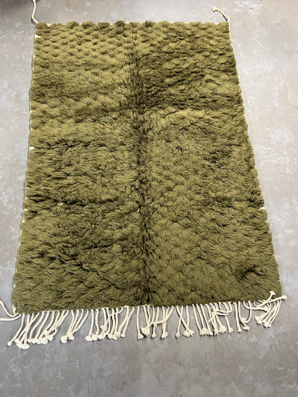 Beni Mrirt Rug Green 248 x 168